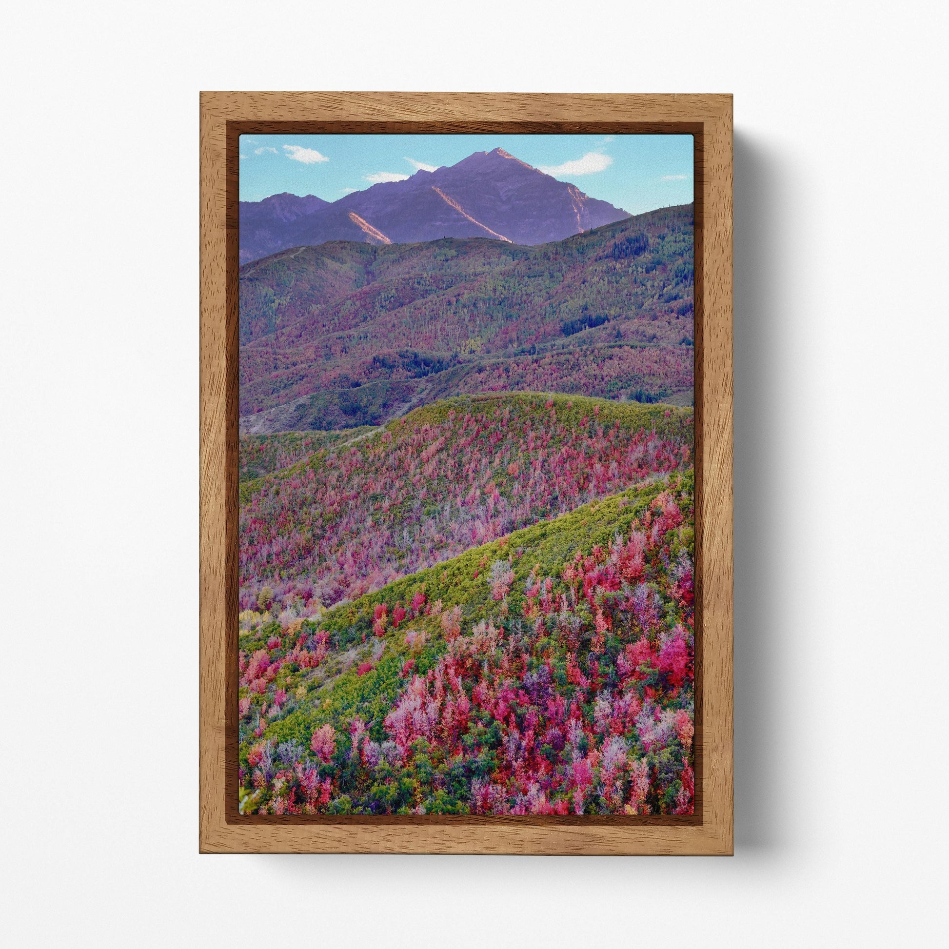 Alpine Loop, Mount Timpanogos, Cascade Springs, North Central Utah Wall Art Eco Leather Print Wood Frame