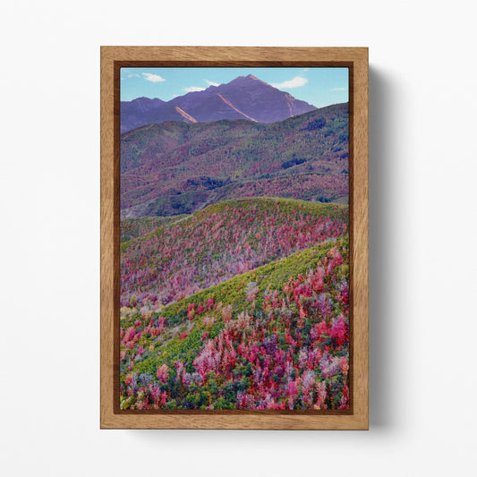 Alpine Loop, Mount Timpanogos, Cascade Springs, North Central Utah Wall Art Eco Leather Print Wood Frame