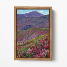 Charger l&#39;image dans la galerie, Alpine Loop, Mount Timpanogos, Cascade Springs, North Central Utah Wall Art Eco Leather Print Wood Frame