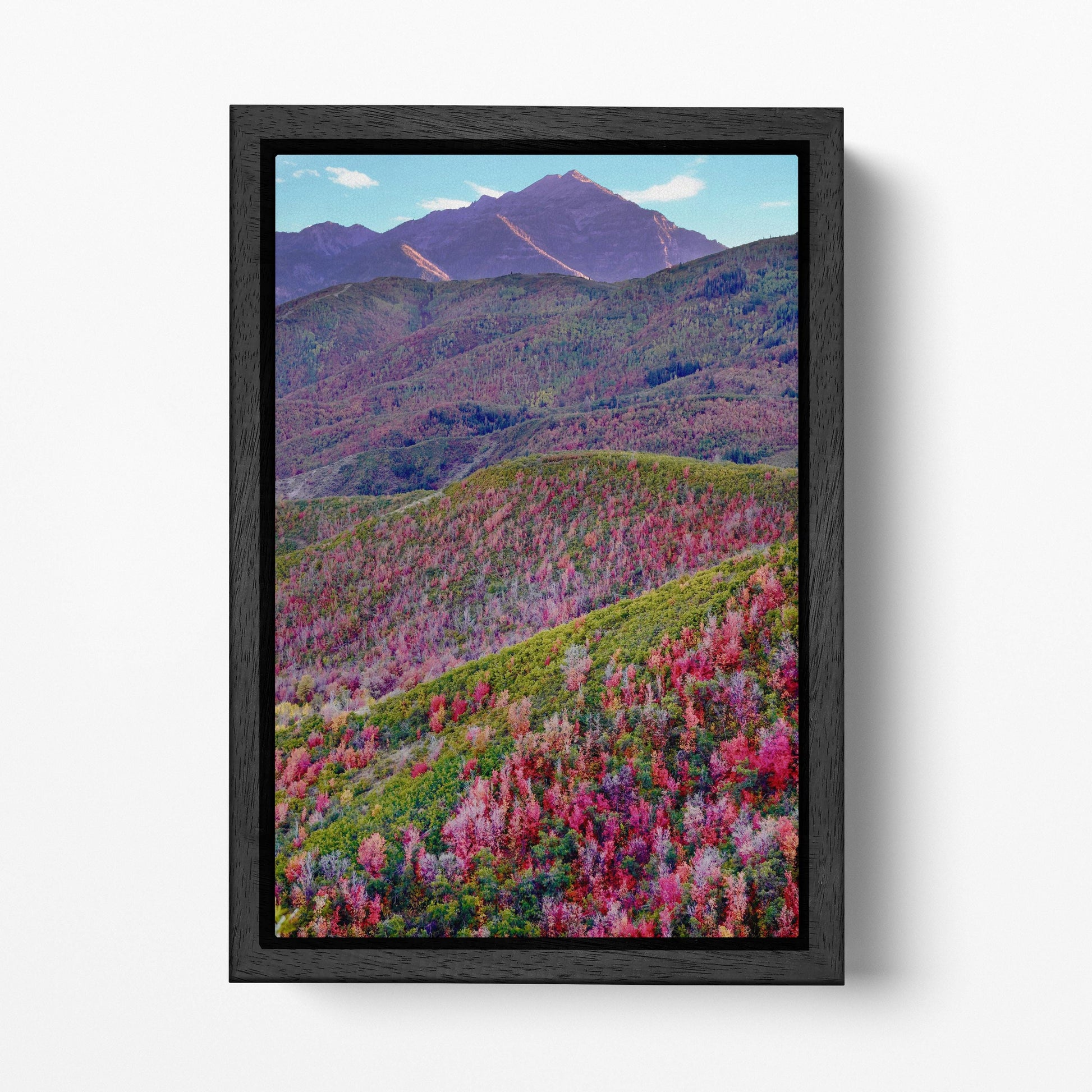 Alpine Loop, Mount Timpanogos, Cascade Springs, North Central Utah Wall Art Eco Leather Print Black Frame