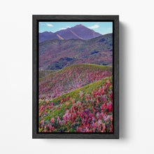 Charger l&#39;image dans la galerie, Alpine Loop, Mount Timpanogos, Cascade Springs, North Central Utah Wall Art Eco Leather Print Black Frame