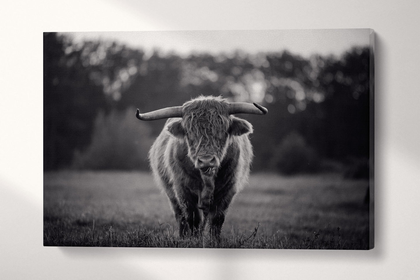Brown Yak Single Panel Black and White Wall Art Eco Leather Print