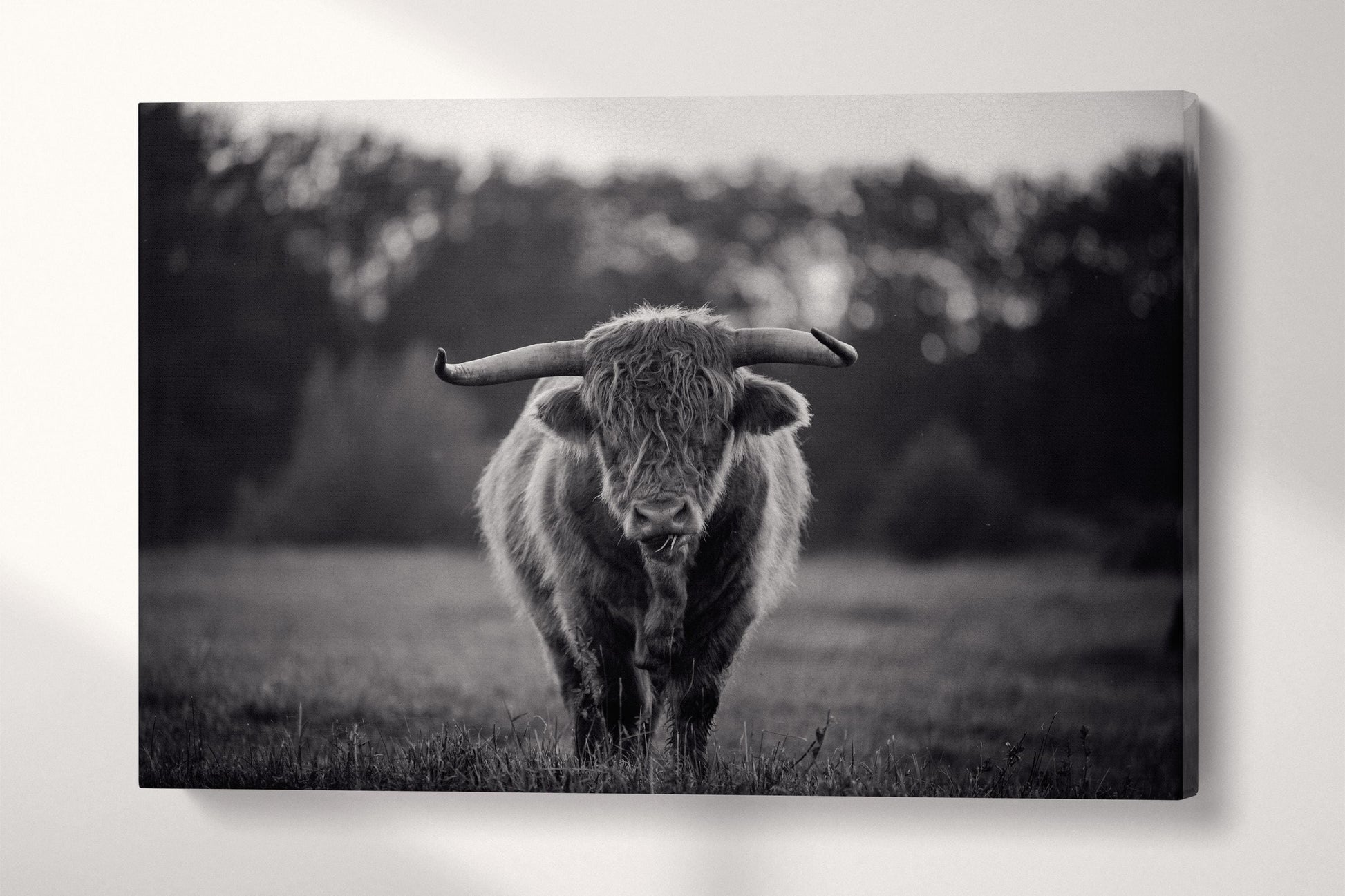 Brown Yak Single Panel Black and White Wall Art Eco Leather Print