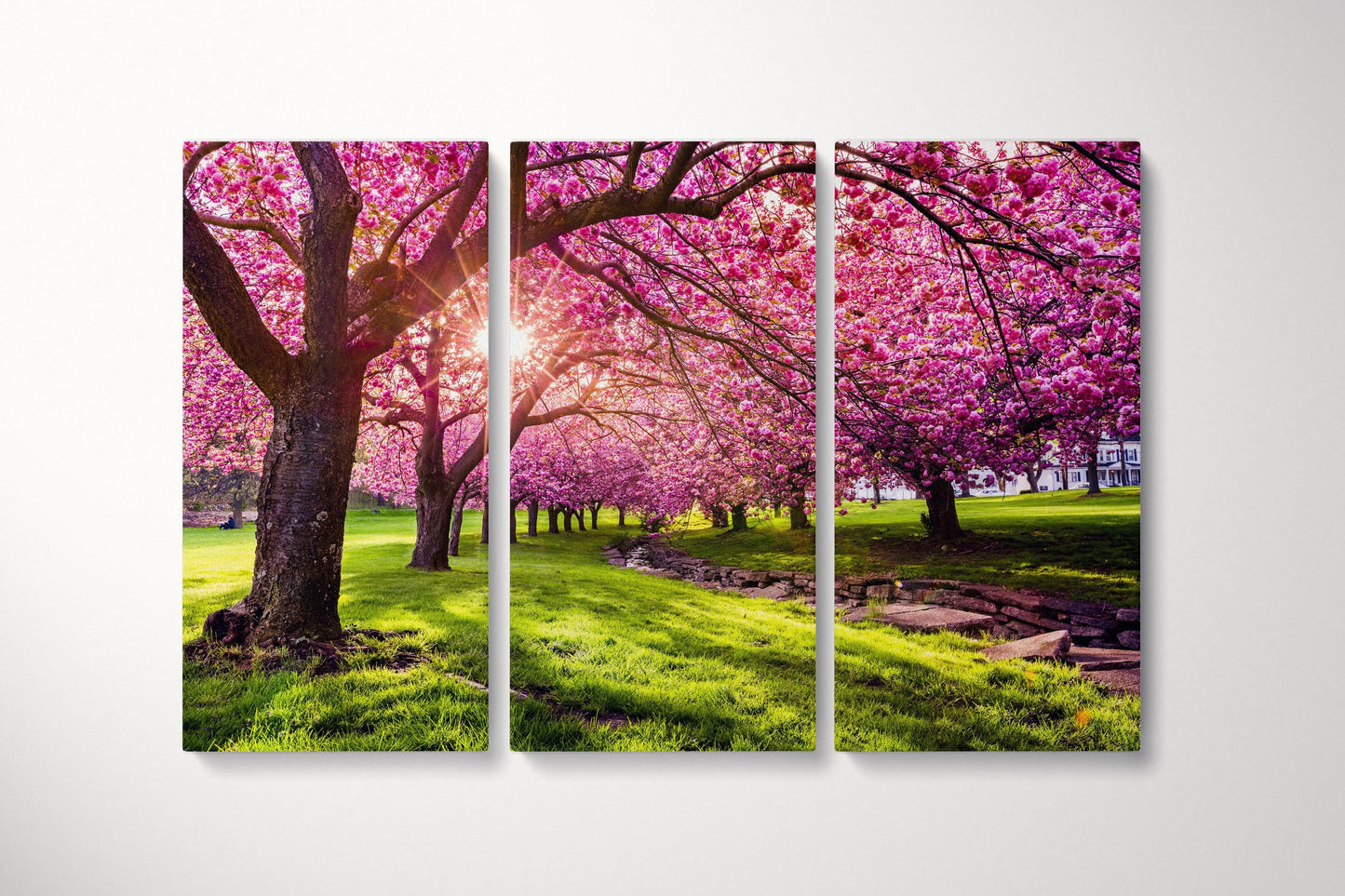 Cherry Tree Blossom Canvas Eco Leather Print Triptych