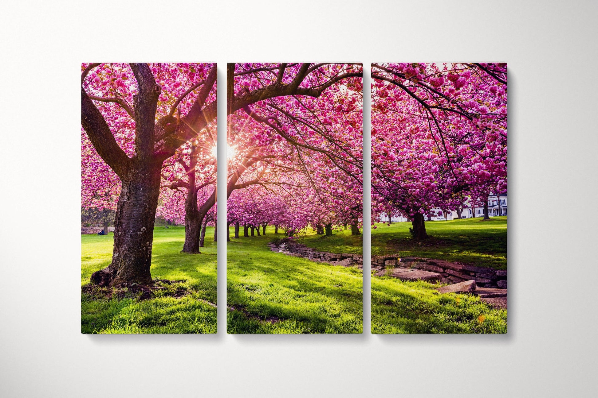 Cherry Tree Blossom Canvas Eco Leather Print Triptych