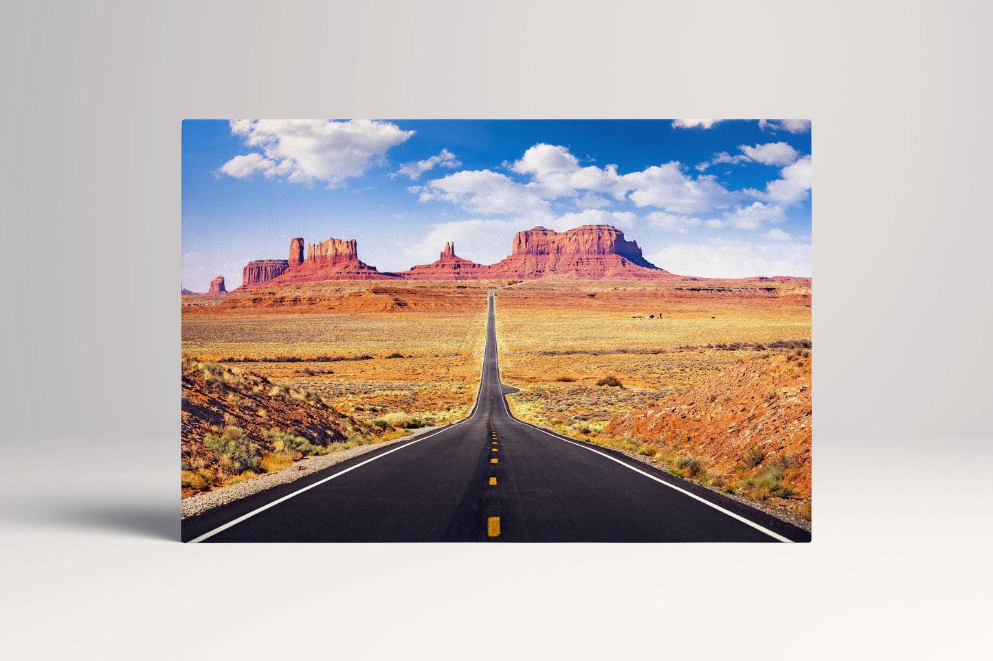 Monument Valley Road, Arizona, USA Canvas Eco Leather Print Single Panel