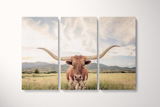 Texas Longhorn Steer Soft Tones Triptych Canvas Eco Leather Print