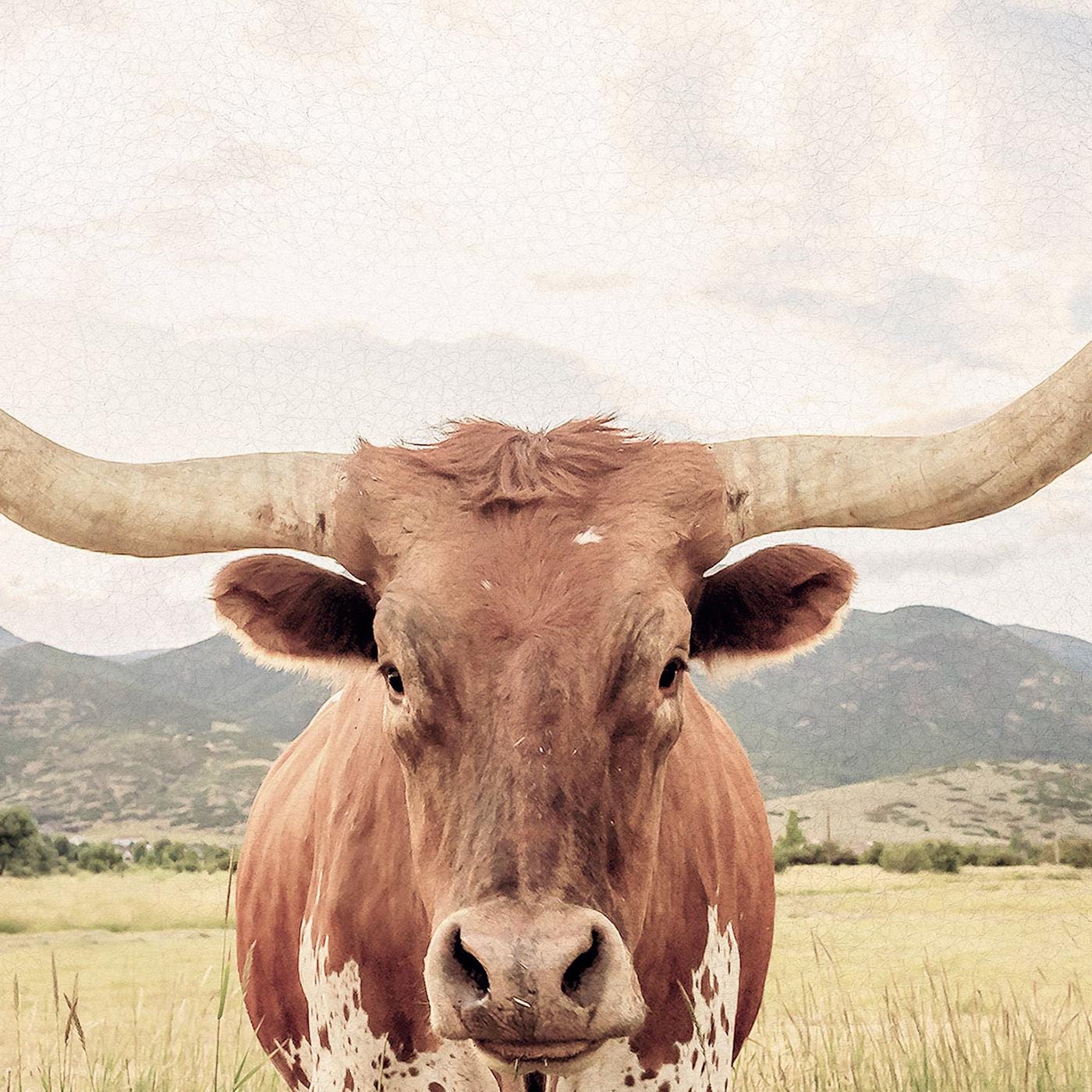Texas Longhorn Steer Soft Tones Triptych Canvas Eco Leather Print Detail