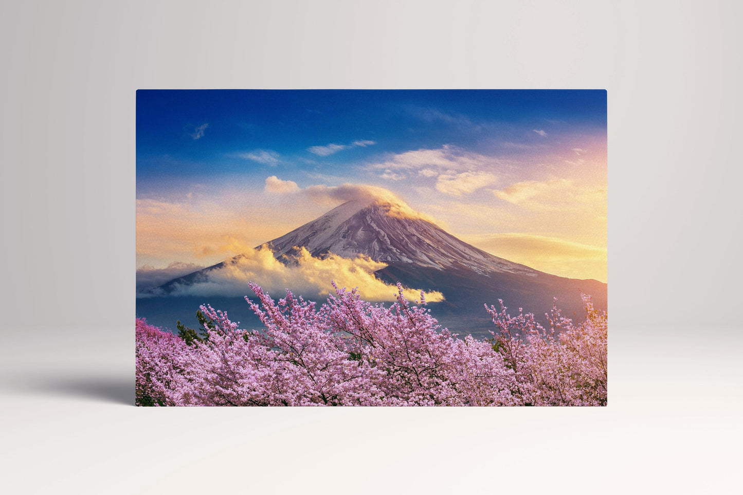 Fuji Cherry Tree Blossom Japan Wall Art Canvas Eco Leather Print