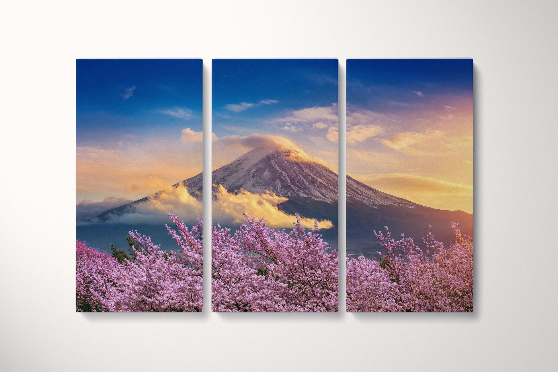 Fuji Cherry Tree Blossom Japan Wall Art Canvas Eco Leather Print Triptych