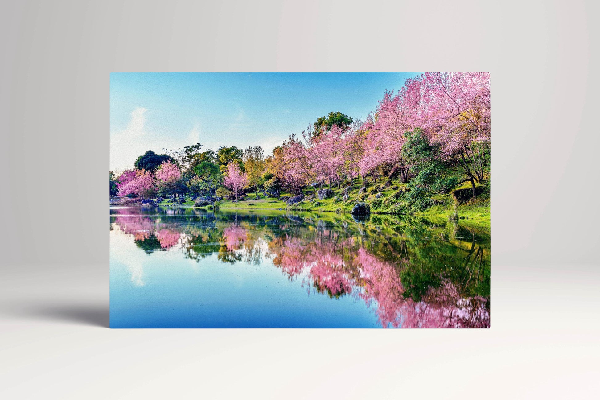 Japan Cherry Tree Blossom Lake Reflection Wall Art Canvas Eco Leather Print