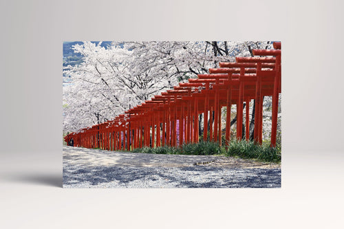 Torii gates shrine cherry blossom, Japan canvas eco leather print