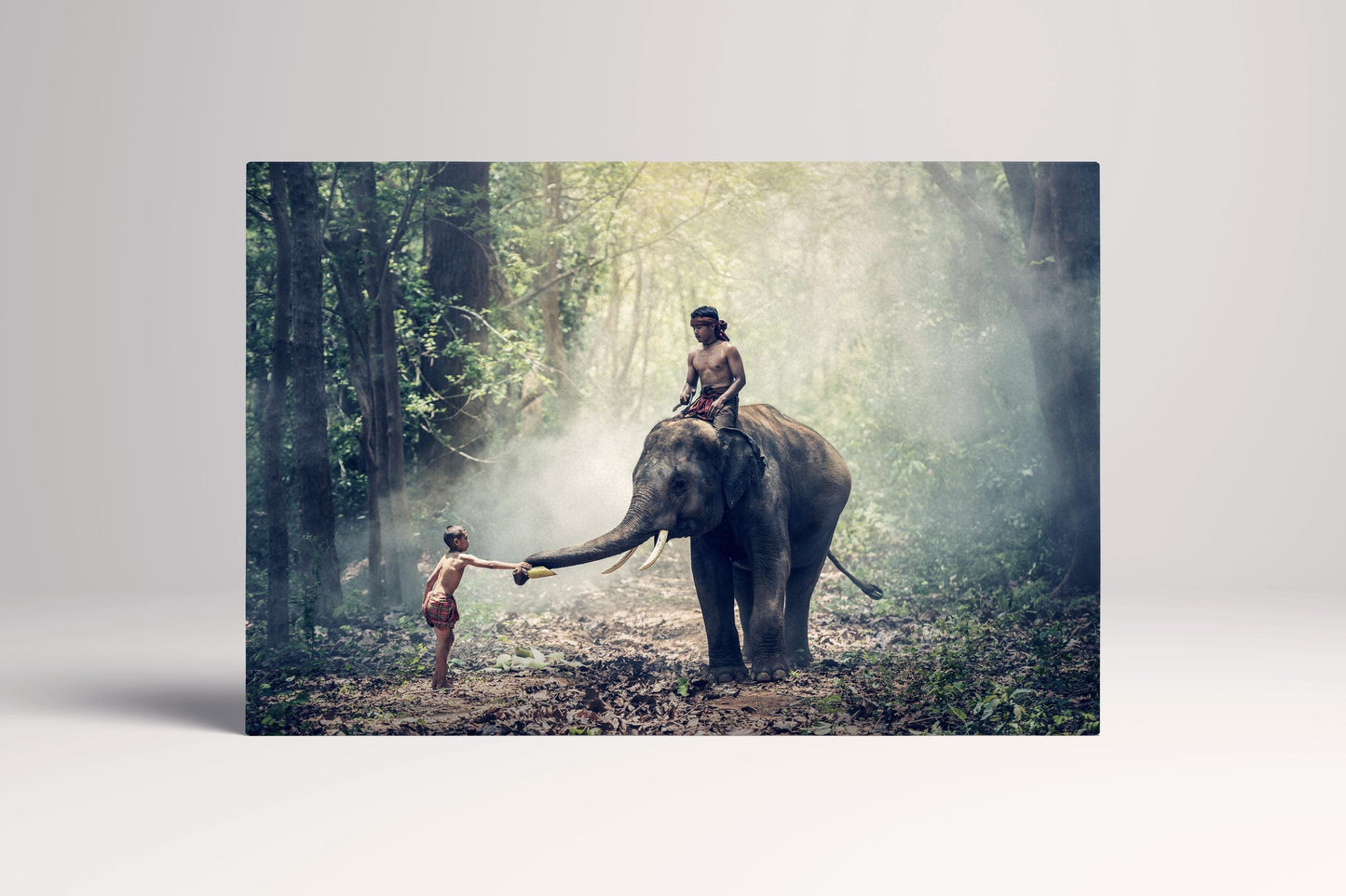 Wild Elephant in Cambodia canvas eco leather print