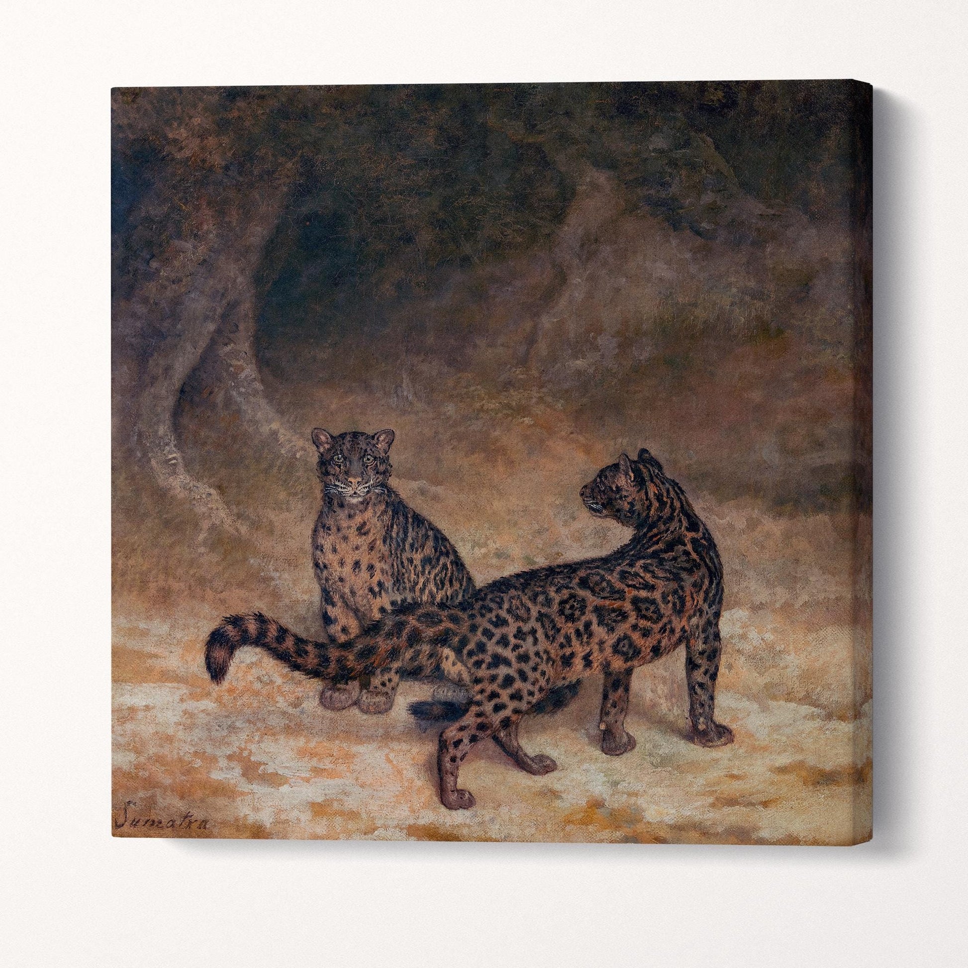 Clouded Leopards Wilhelm Kuhnert Jungle Art Wildlife Wall Decor Vegan Leather Print Gallery Wrap