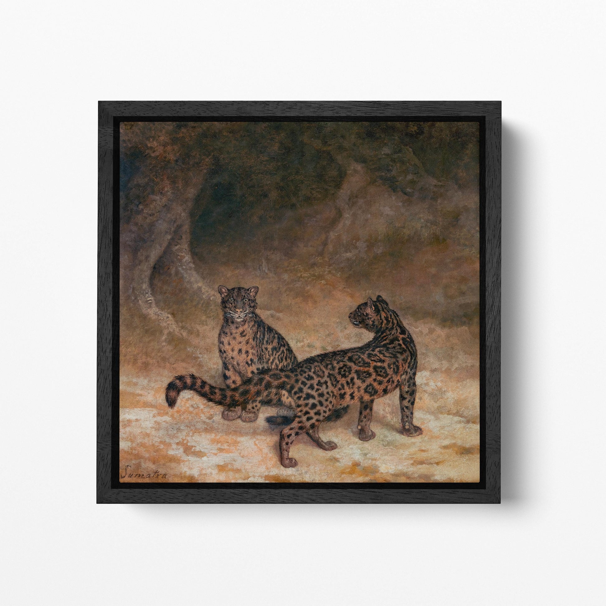 Clouded Leopards Wilhelm Kuhnert Jungle Art Wildlife Wall Decor Vegan Leather Print Black Frame