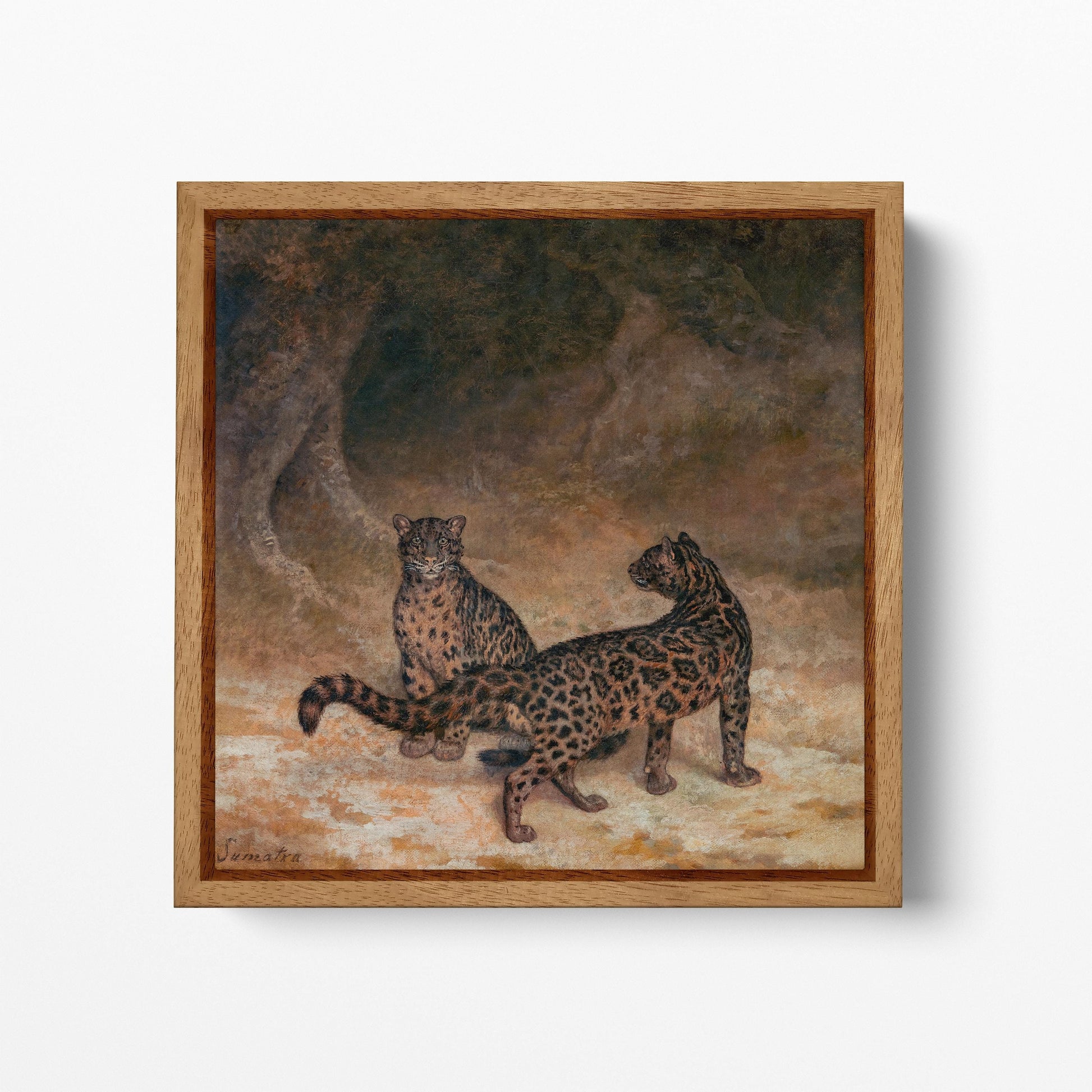 Clouded Leopards Wilhelm Kuhnert Jungle Art Wildlife Wall Decor Vegan Leather Print Wood Frame