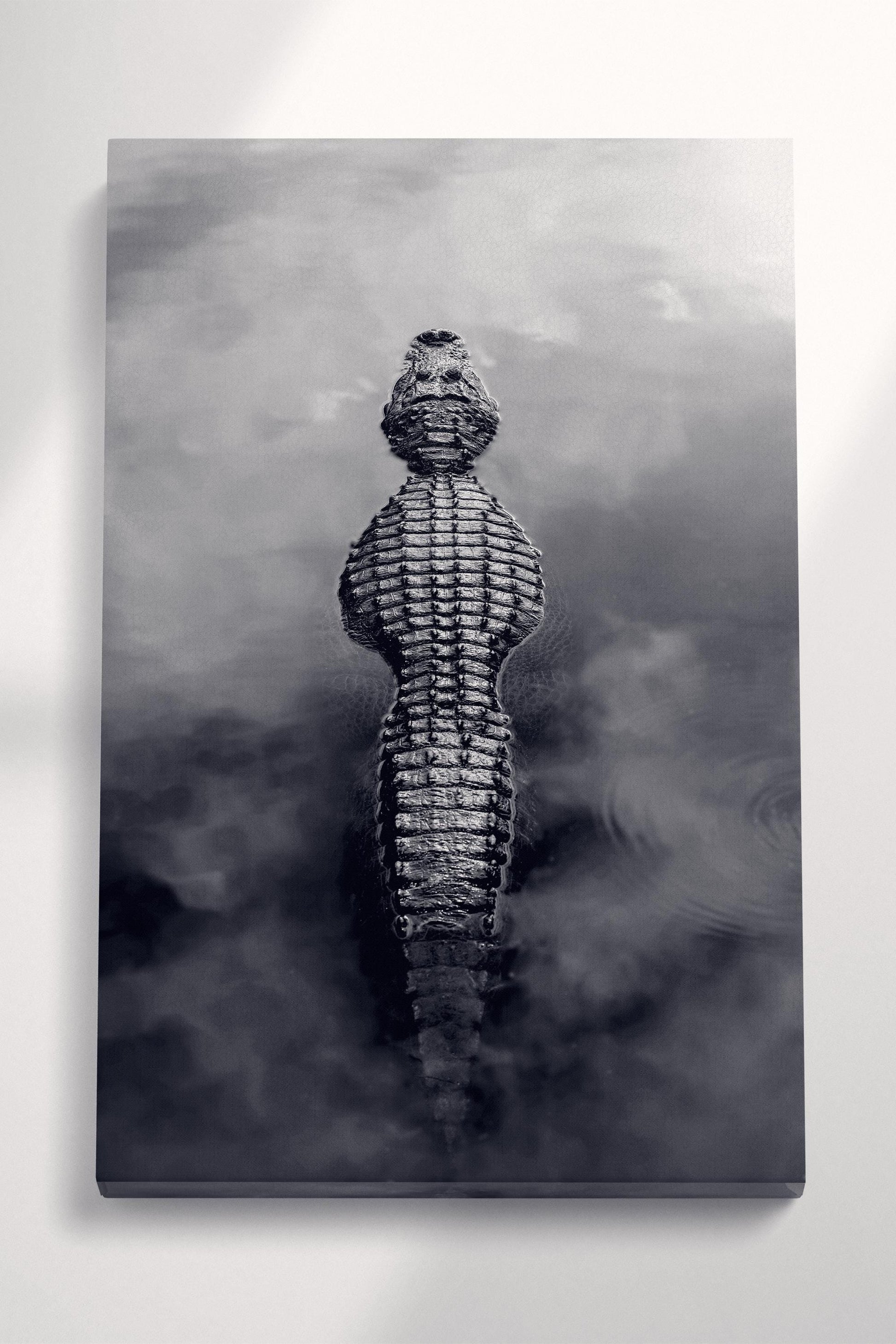 Alligator in Water Black and White Eco Leather Wall Art Gallery Wrap