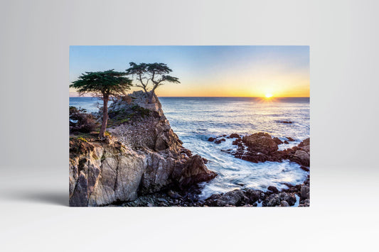 Lone Cypress Pebble Beach Eco Leather Wall Art Frame