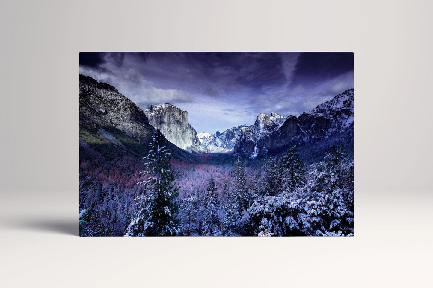 Sunlit Valley Yosemite PETA Approved Faux Leather Canvas Wall Art