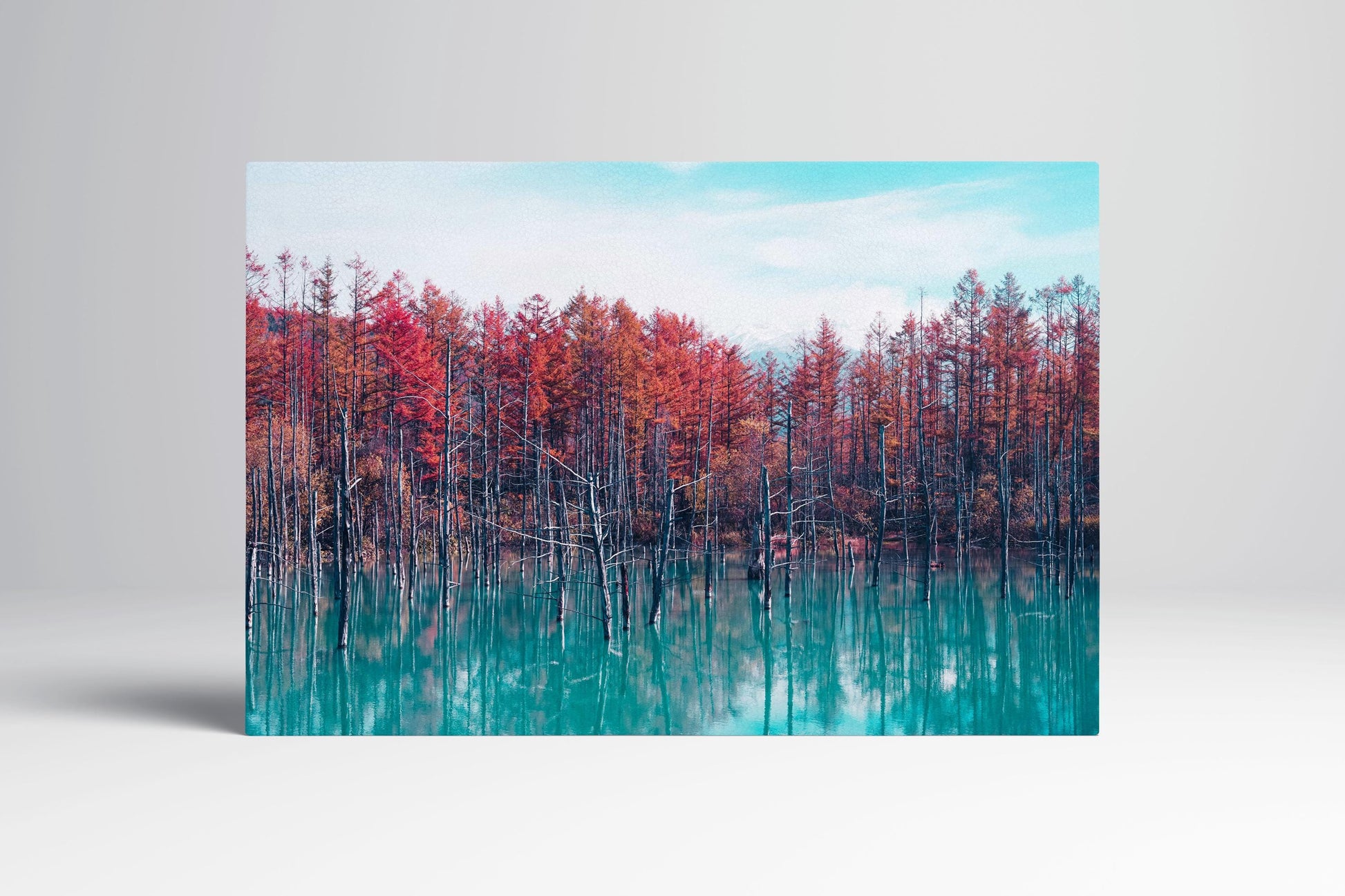 Red Trees Blue Pond Reflection Hokkaido Japan Eco Leather Wall Art Frame