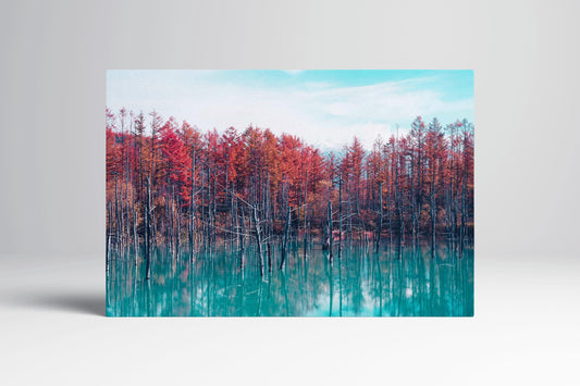 Red Trees Blue Pond Reflection Hokkaido Japan Eco Leather Wall Art Frame