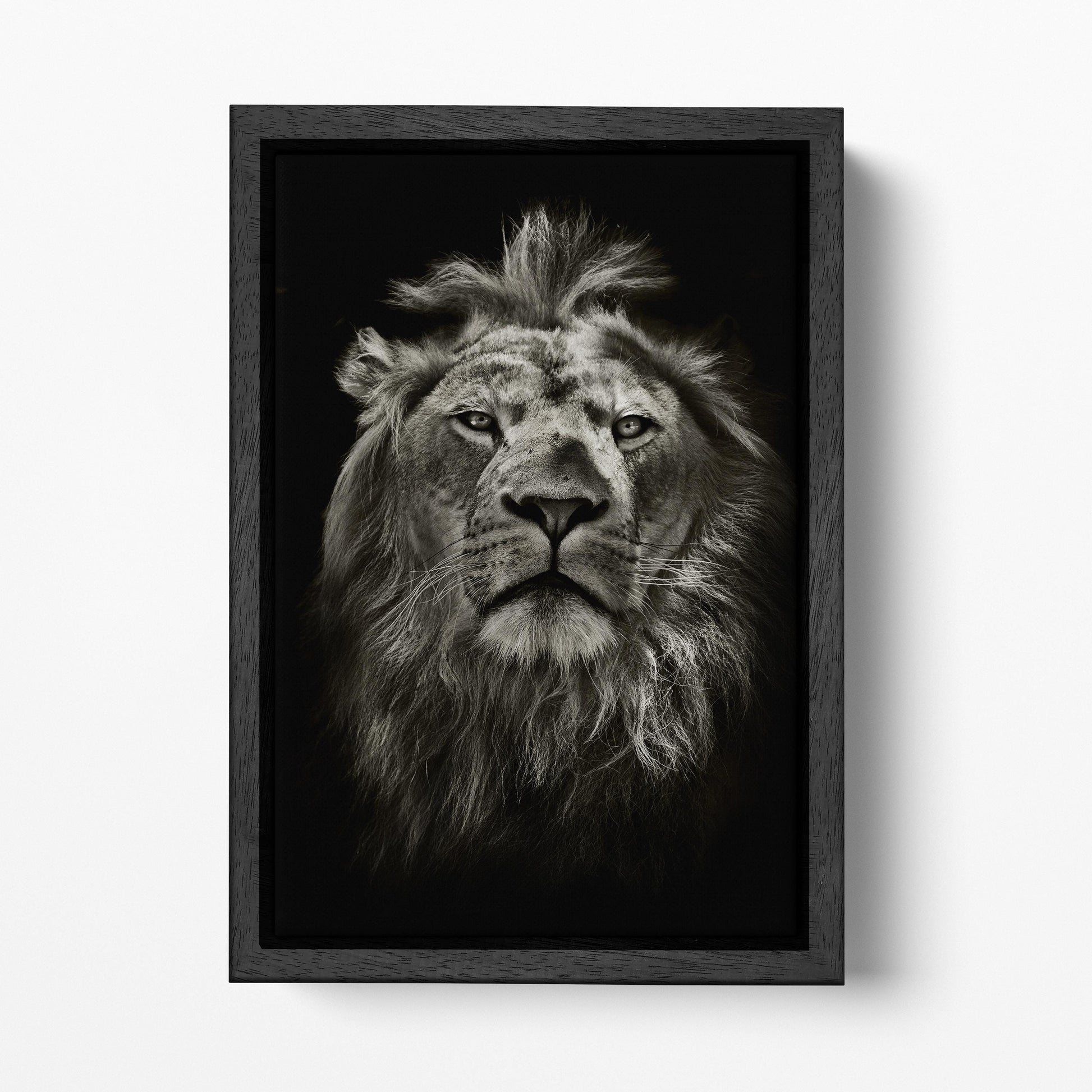 Monochrome Lion Portrait Vegan Leather Art Luxury Black and White Wall Decor Black Frame