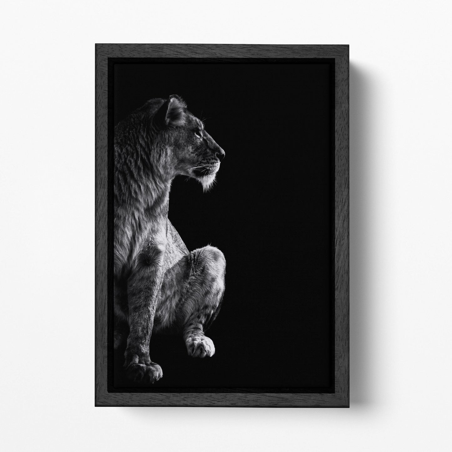 Lioness Portrait PETA Approved Eco Leather Canvas Wild Animal Art Black Floating Frame