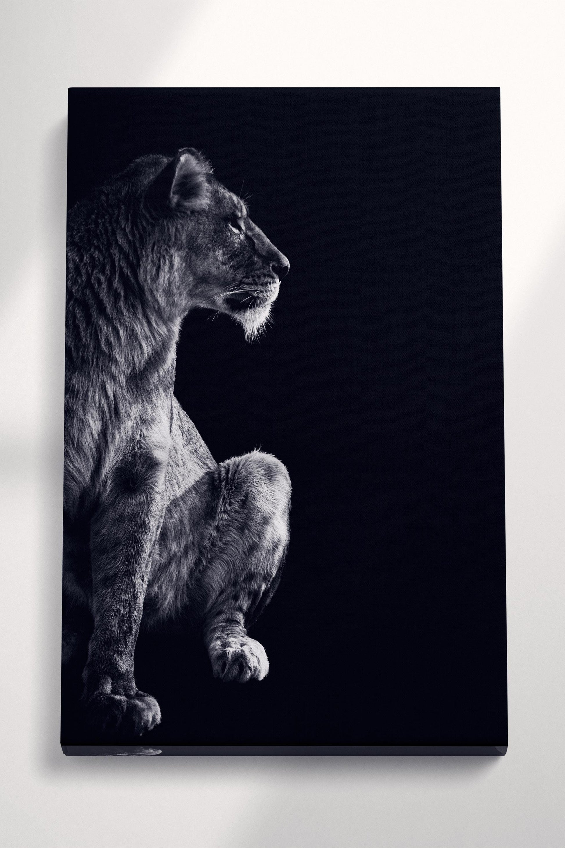Lioness Portrait PETA Approved Eco Leather Canvas Wild Animal Art Gallery Wrap