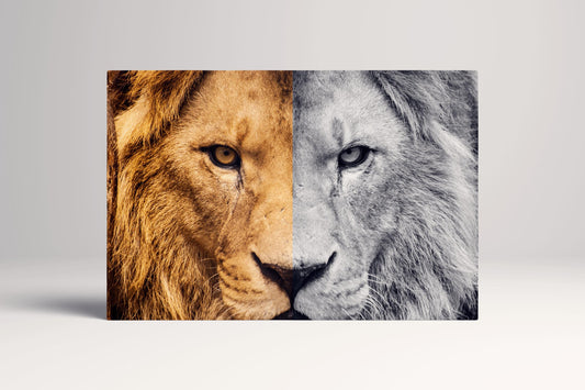 Silent Majesty Black White Lion PETA Approved Faux Leather Wall Art