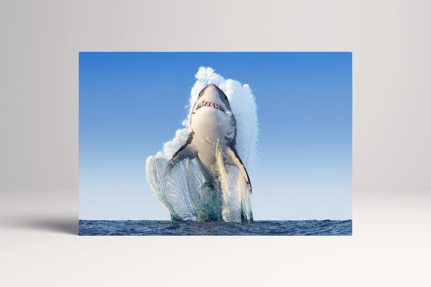 Great White Shark Breach PETA Approved Eco Leather Canvas Single Art