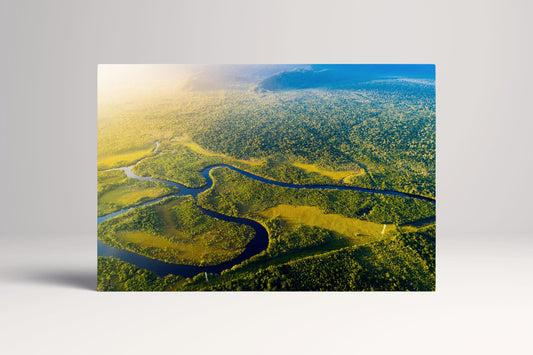 Manaus Amazon Rainforest Aerial View PETA Approved Eco Leather Canvas Single Art Frame