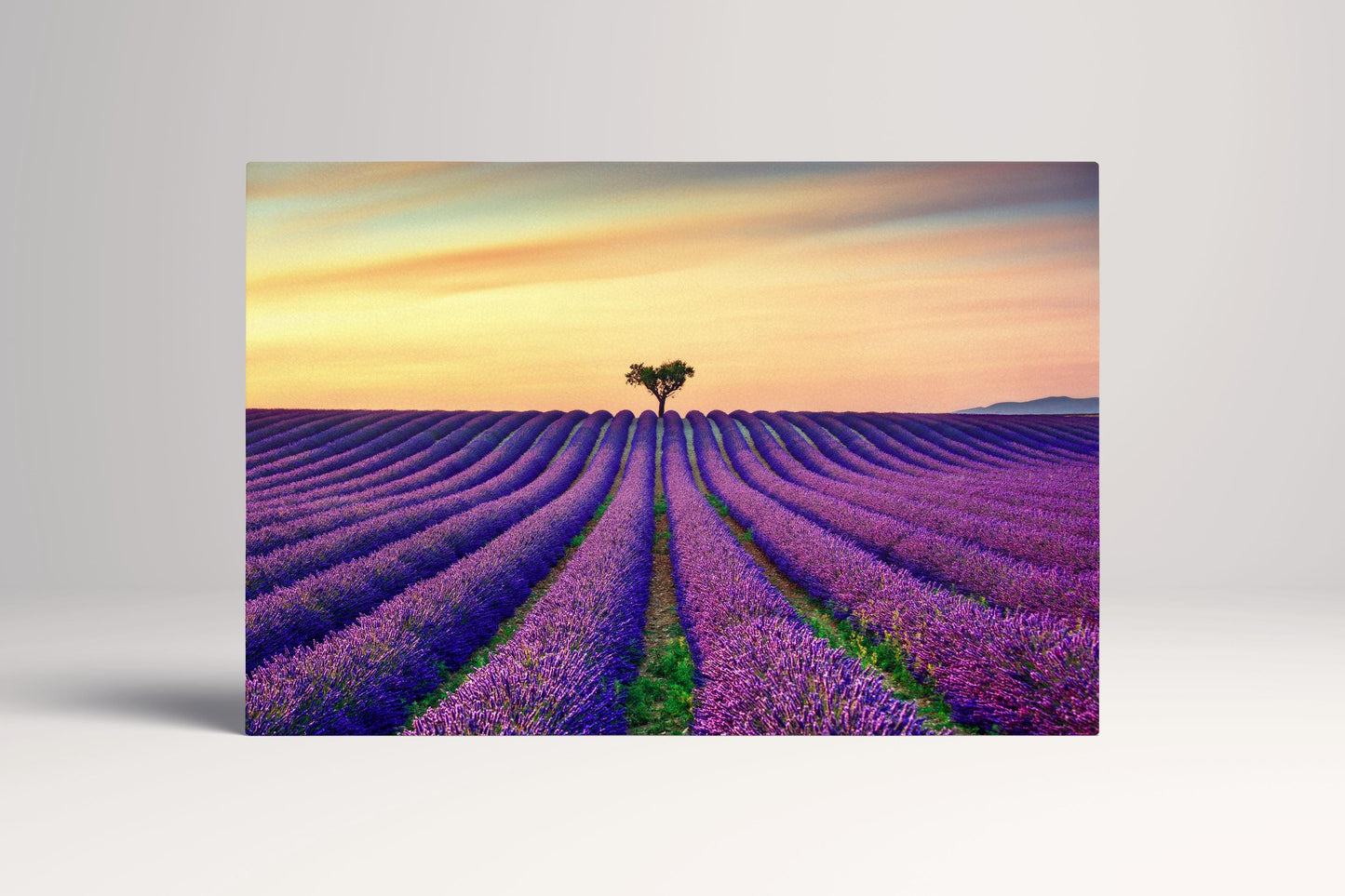 Lavender Provence France PETA Approved Eco Leather Canvas Single Wall Art