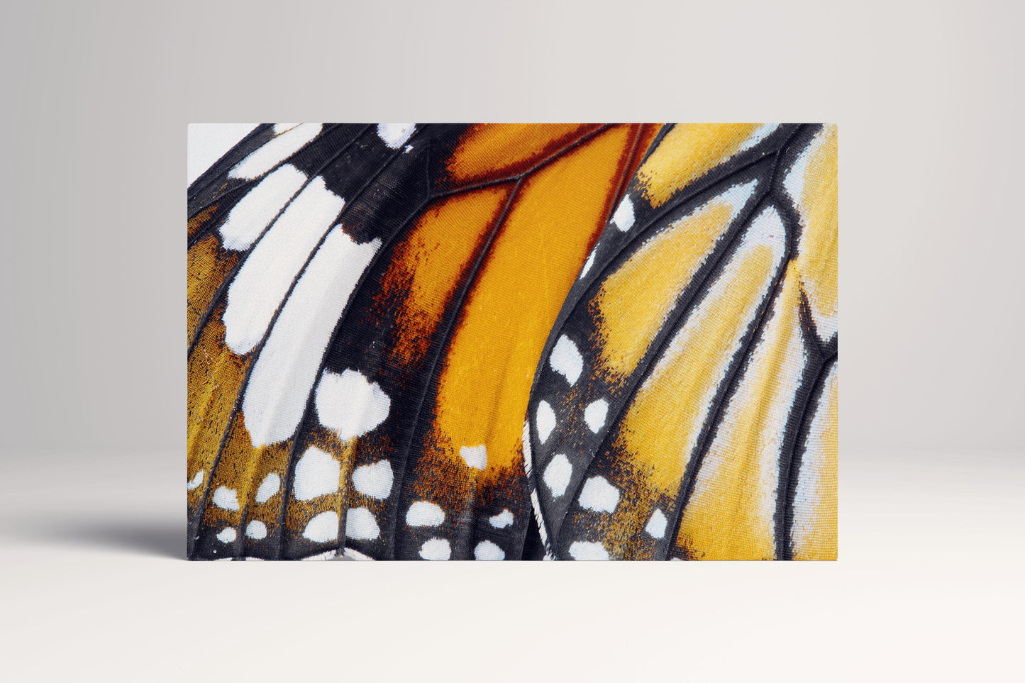 Danaus Chrysippus Butterfly Wing PETA Approved Eco Leather Canvas Single Art