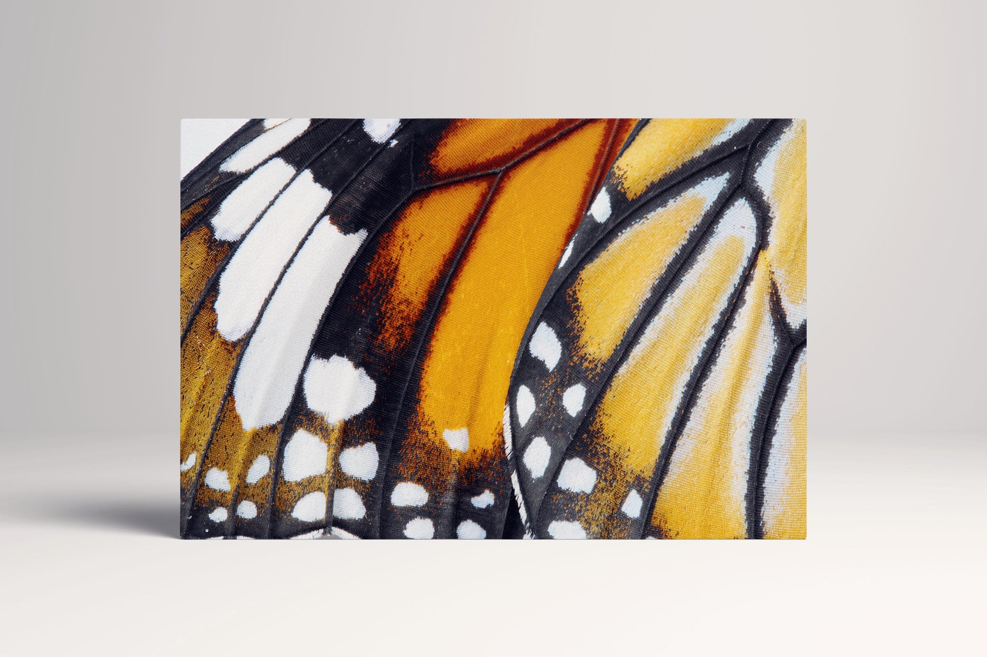 Danaus Chrysippus Butterfly Wing PETA Approved Eco Leather Canvas Single Art
