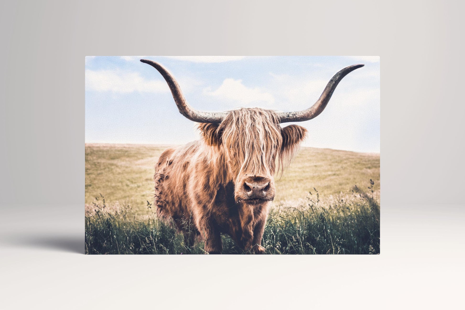 Highland Cow Scotland PETA Approved Eco Leather Canvas Multi Panel Art Color Frame