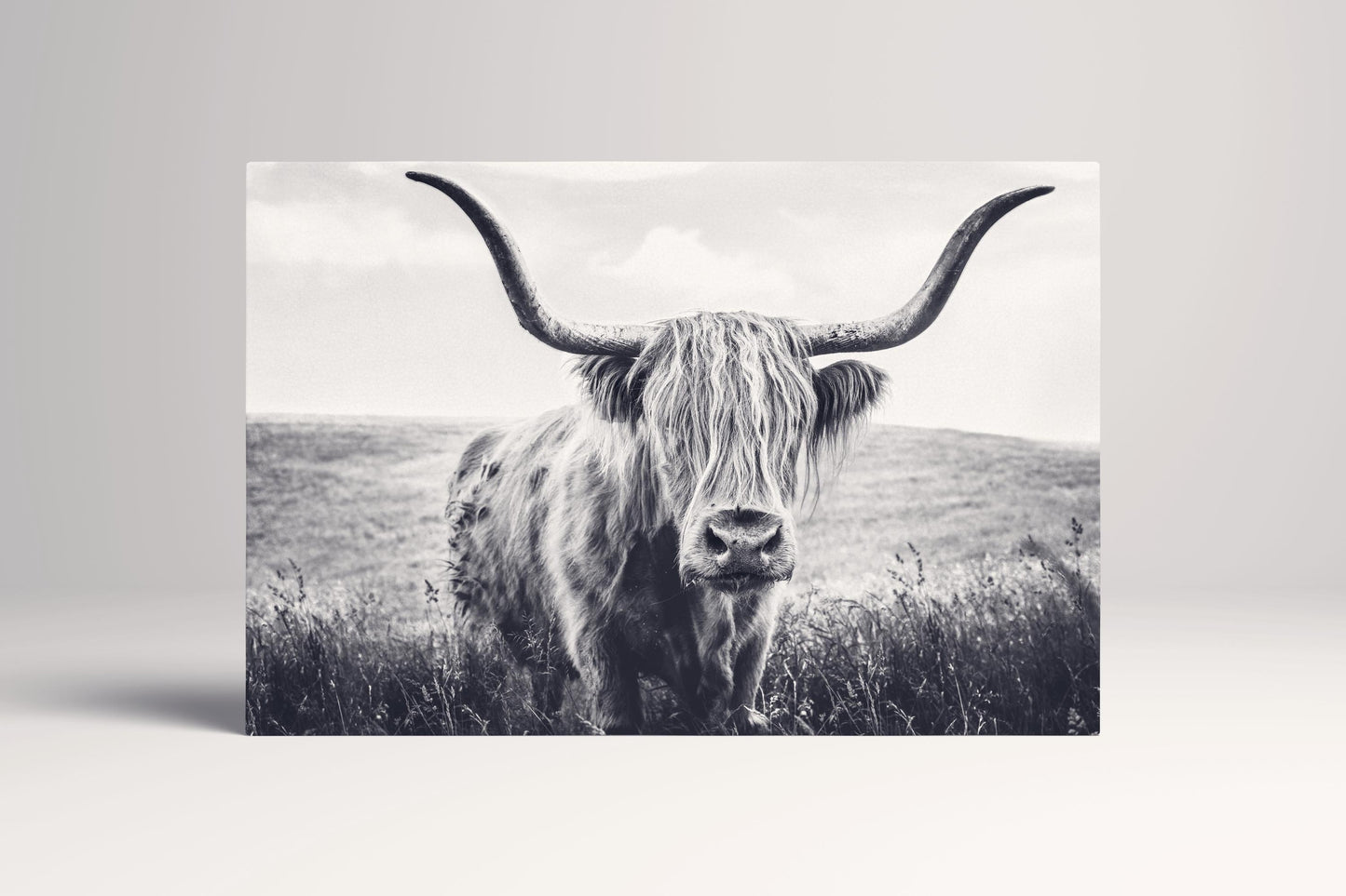 Highland Cow Scotland PETA Approved Eco Leather Canvas Multi Panel Art B&W Frame