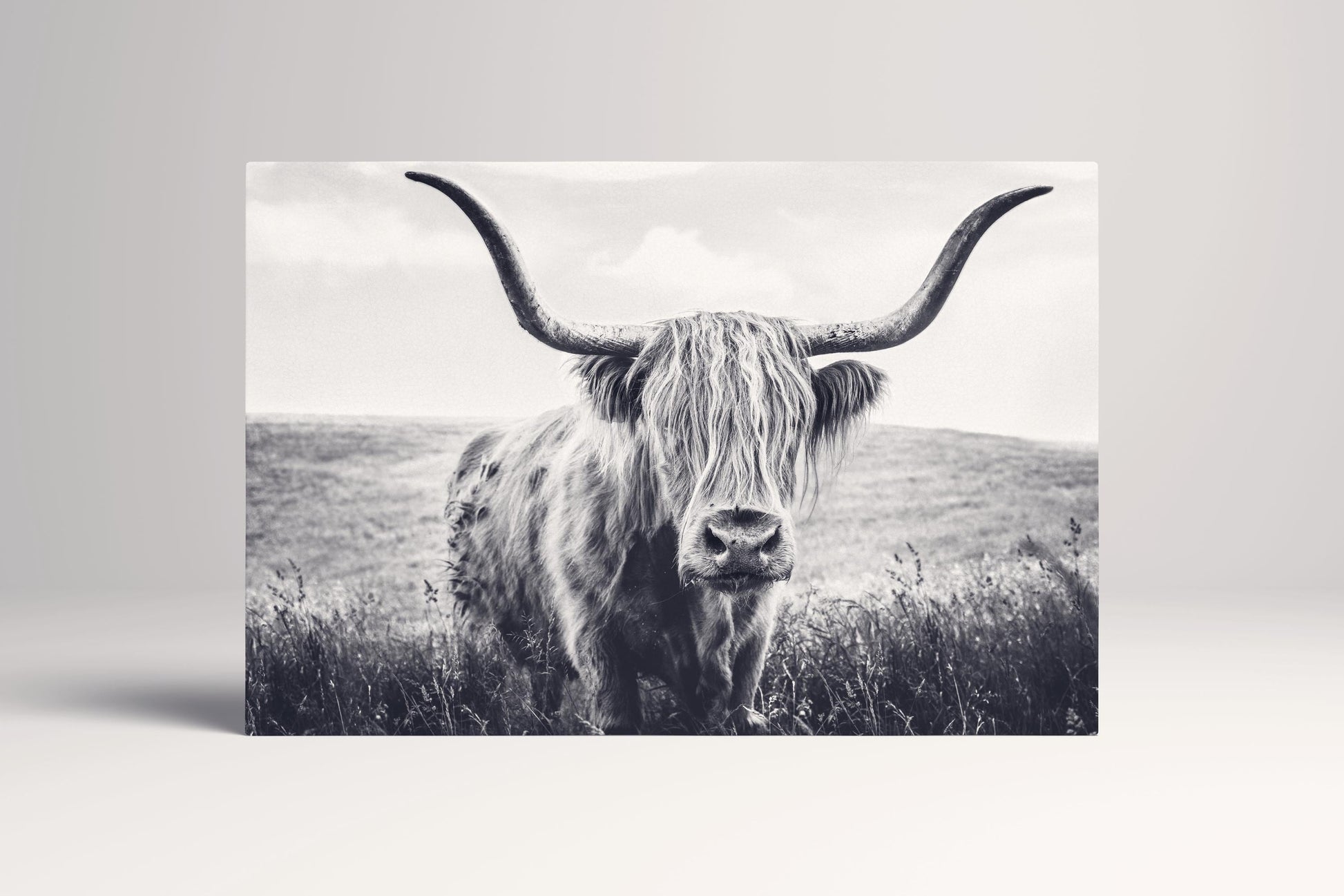 Highland Cow Scotland PETA Approved Eco Leather Canvas Multi Panel Art B&W Frame