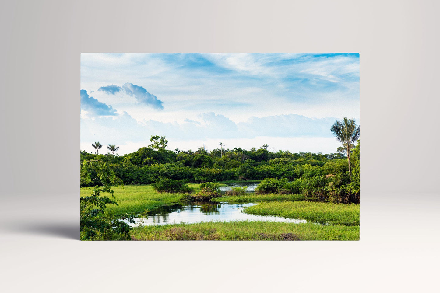Amazon Wetland Rainforest Nature PETA Approved Eco Leather Single Panel Wall Art