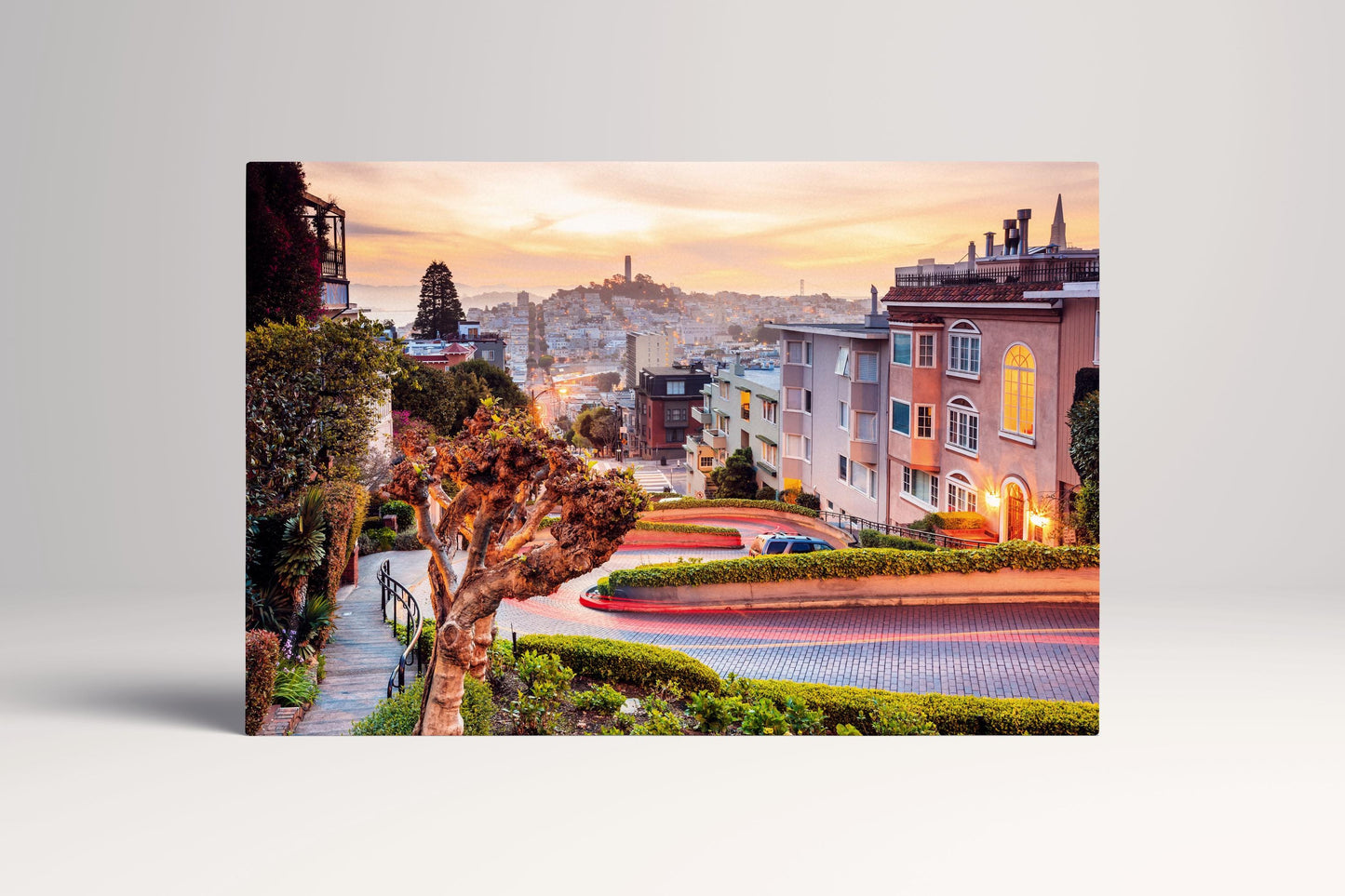 San Francisco Lombard Street PETA Approved Eco Leather Single Panel Wall Art