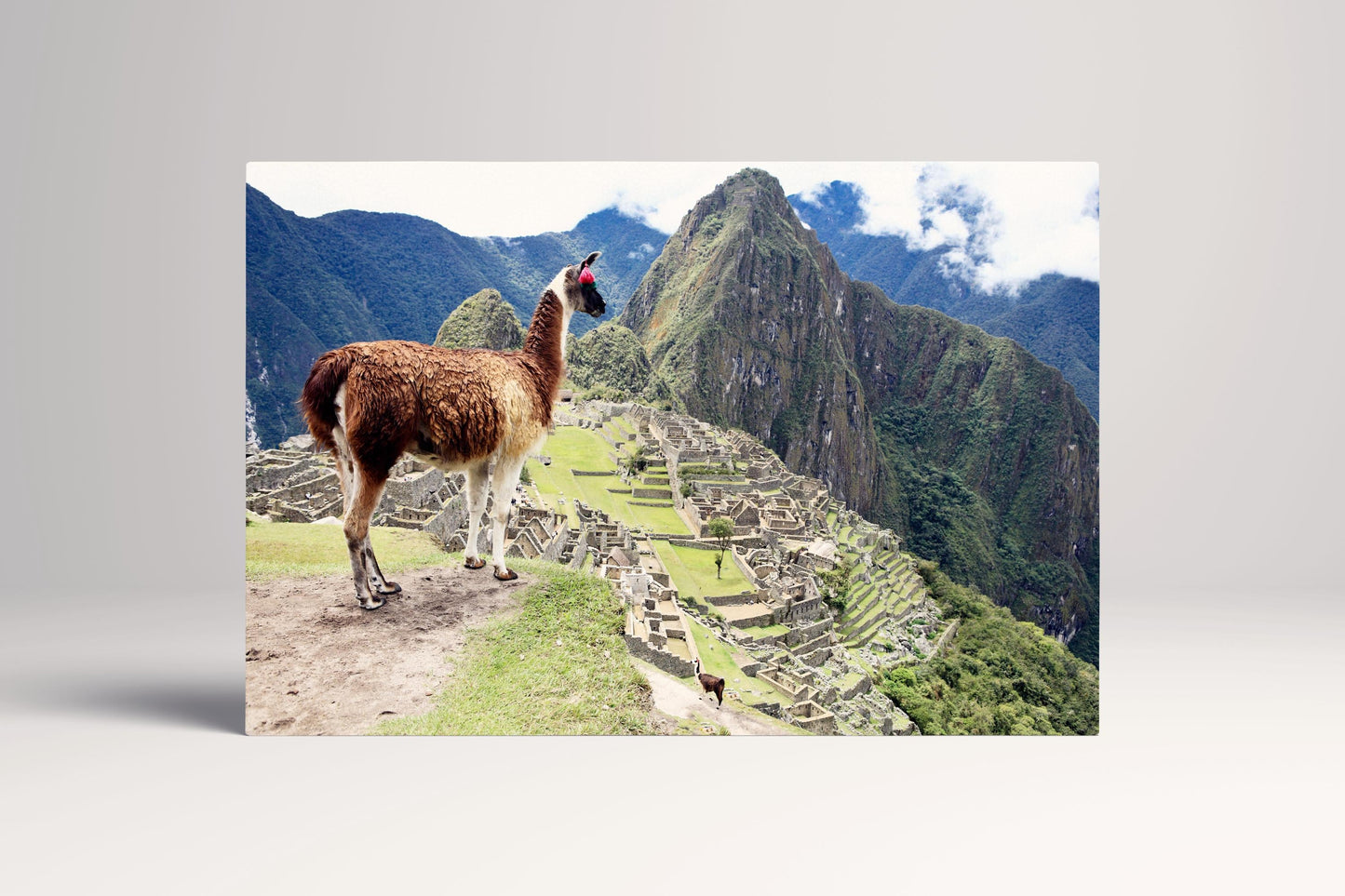 Machu Picchu Peru Alpaca Incan Ruins PETA Approved Eco Leather Single Art
