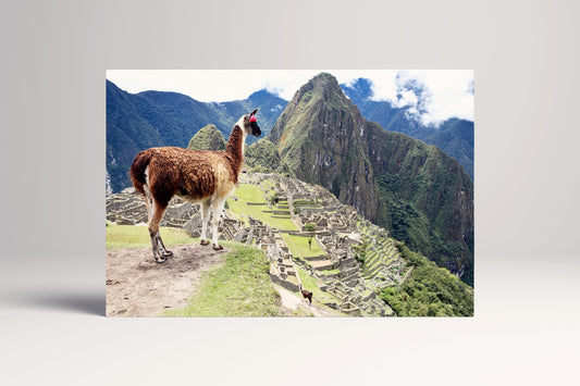 Machu Picchu Peru Alpaca Incan Ruins PETA Approved Eco Leather Single Art