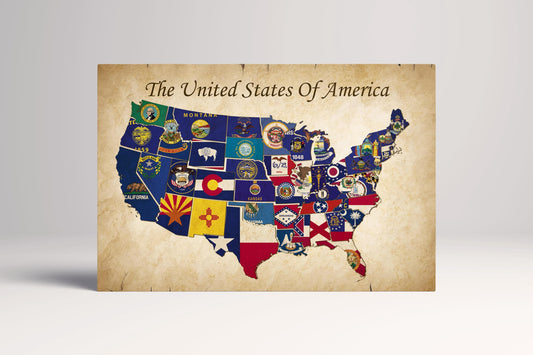 Push Pin US Political Map: Vintage Style Vegan Leather Print Single