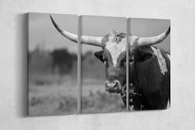 Carica l&#39;immagine nel visualizzatore di Gallery, [canvas] - Lwhomedecor