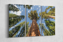 Carica l&#39;immagine nel visualizzatore di Gallery, [canvas] - Lwhomedecor