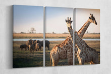 Carica l&#39;immagine nel visualizzatore di Gallery, [canvas] - Lwhomedecor