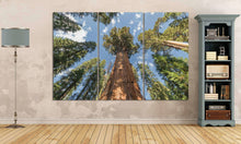 Carica l&#39;immagine nel visualizzatore di Gallery, [canvas] - Lwhomedecor