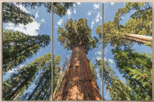 Carica l&#39;immagine nel visualizzatore di Gallery, [canvas] - Lwhomedecor
