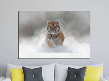 Laden Sie das Bild in den Galerie-Viewer, [canvas] - Lwhomedecor