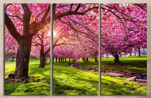Load image into Gallery viewer, Cherry tree blossom wall art canvas
