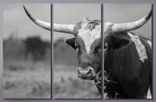 Carica l&#39;immagine nel visualizzatore di Gallery, [canvas] - Lwhomedecor